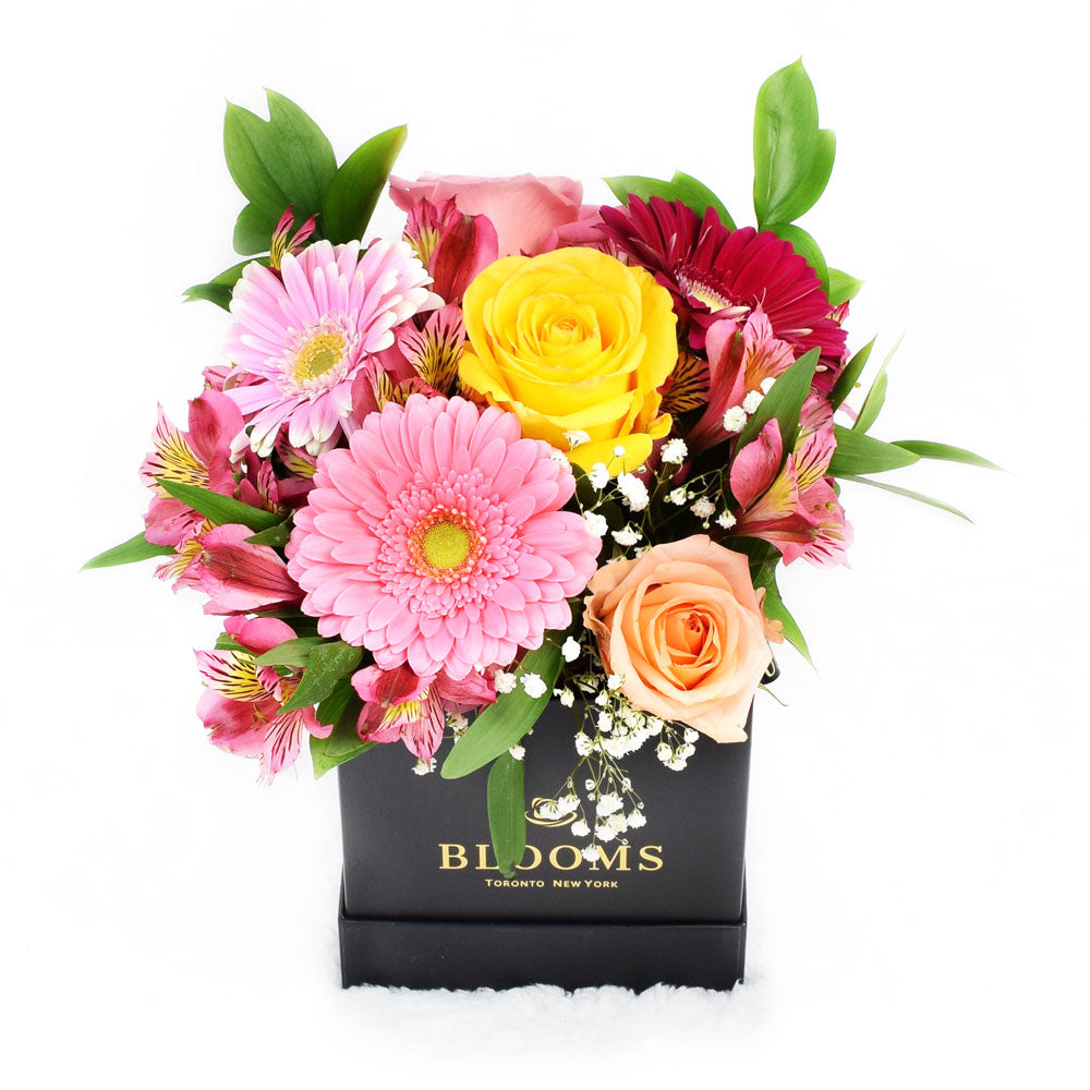 Mix Flower Hat Box Arrangement - Toronto Same Day Delivery