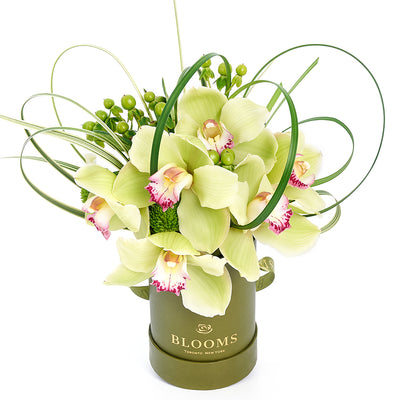 Delicate Pastel Orchid Floral Gift - Orchid Hat Box - Same Day Toronto Delivery