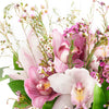 Dreaming of Orchids Flower Gift - Floral Arrangement Gift - Same Day Toronto Delivery