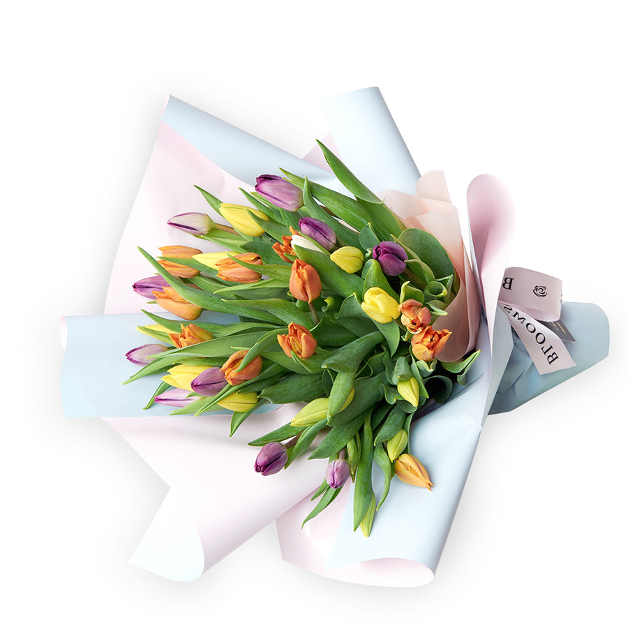 Multi-coloured tulip bouquet - Same Day Toronto Delivery