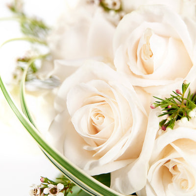 Exceptional White Rose Arrangement – Rose Gifts – Toronto delivery