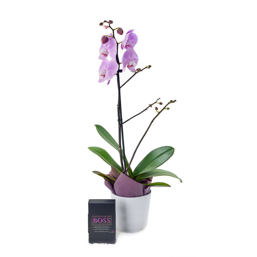 Floral Treasures Flowers Chocolate Gift - Orchid Gift Set - Toronto Delivery
