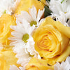 Floral Fantasy Daisy Bouquet - Floral Gift - Same Day Toronto Delivery
