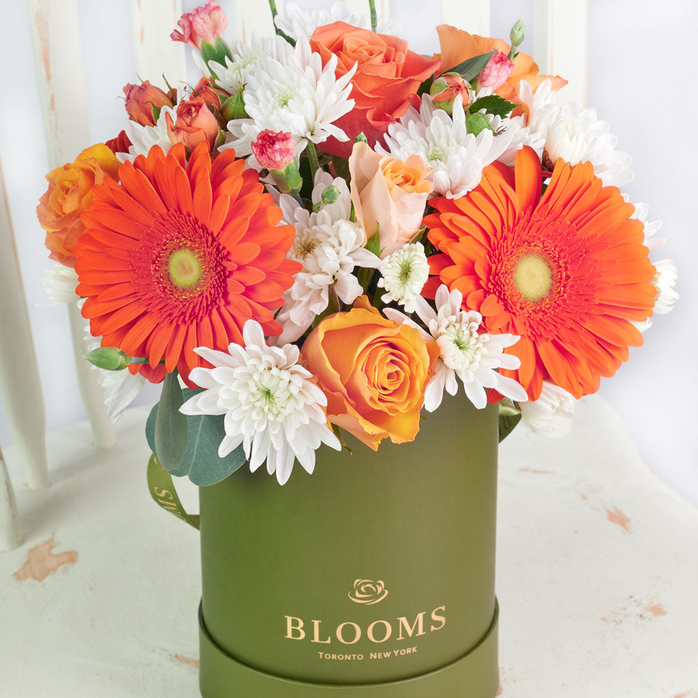 Forever Young Daisy Box - Mix Flower Hat Box Gift - Same Day Toronto Delivery