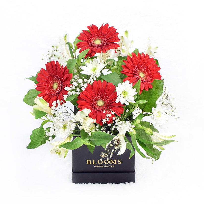 Fresh As a Daisy Gift Box