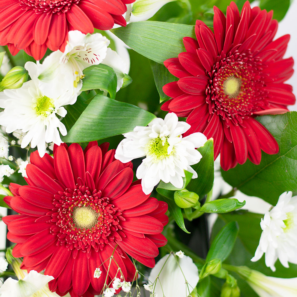 Fresh As a Daisy Gift Box