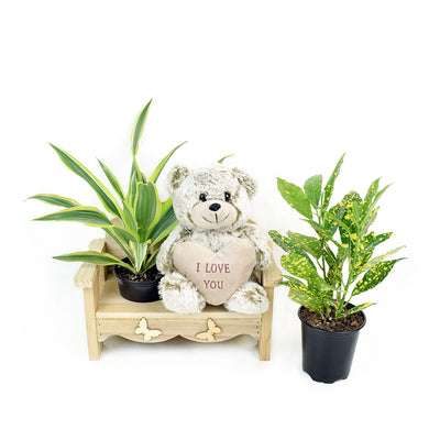 Gardener's chair potted plant arrangement with bear. Same Day Toronto Delivery