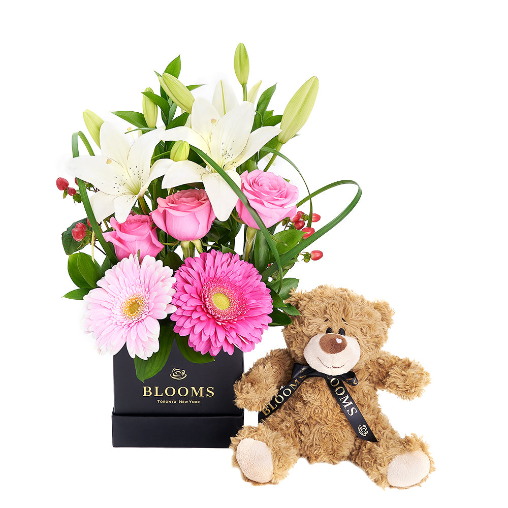 Gerbera Floral Arrangement &amp; Bear Gift Set – Floral Gifts – Toronto delivery