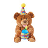 Happy Birthday Bear, teddy bear, teddy, bear gift, bear, plush bear gift, plush bear, birthday gift, birthday