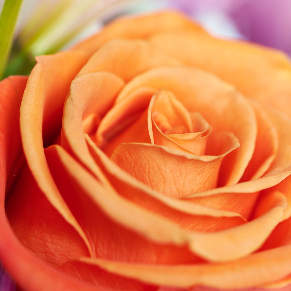 Heavenly Scents Flowers & Candle Gift - Mixed Flower and Candle Set - Same Day Toronto Delivery