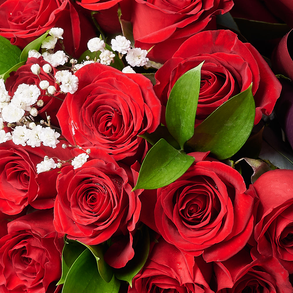 Valentine's Day 36 Red Roses Bouquet, roses, bouquets, Valentine's day gifts, Toronto Same Day Flower Delivery