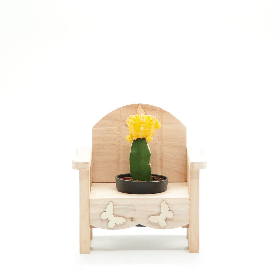 Bulbs & Bamboos