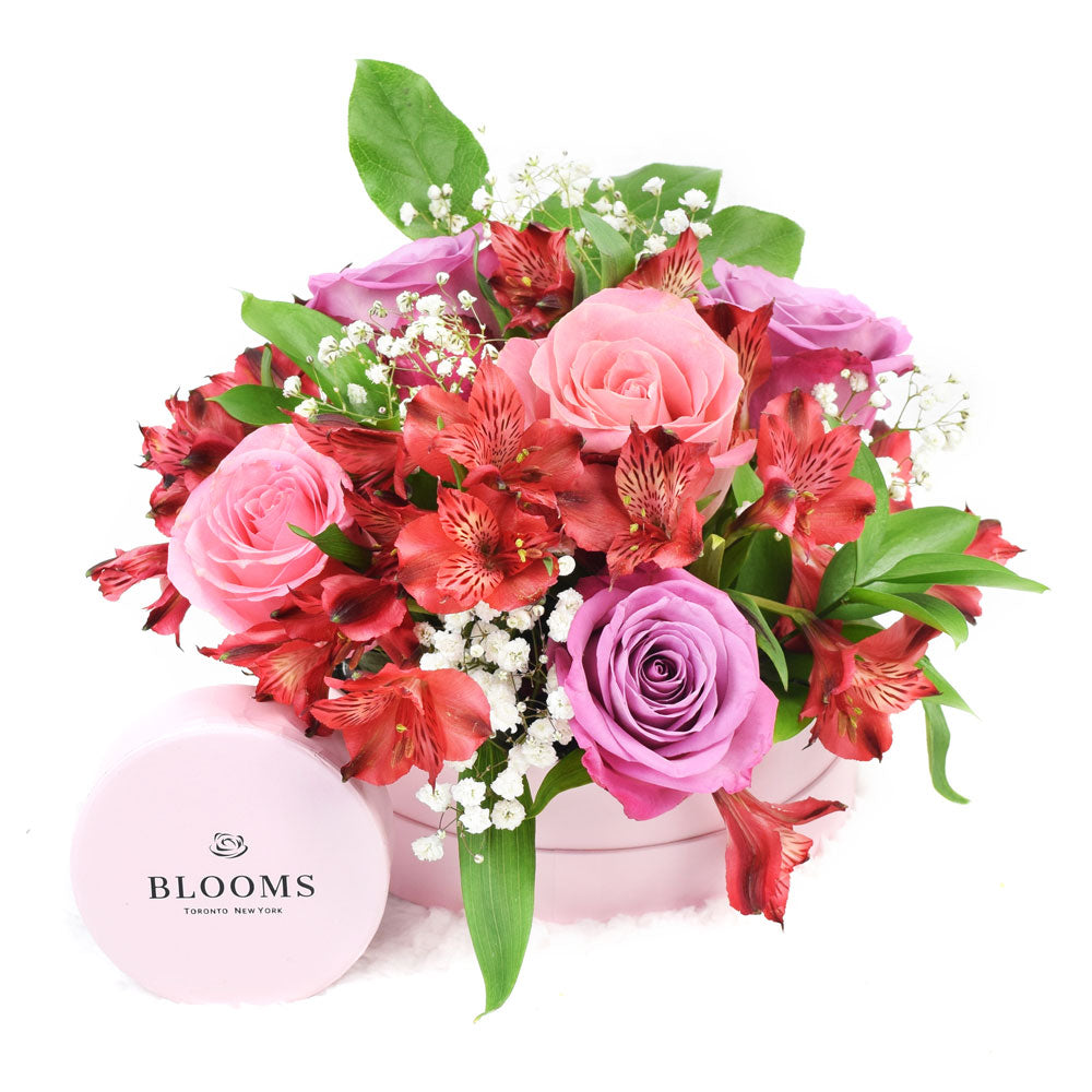 Toronto Same Day Flower Delivery - Toronto Flower Gifts - Livewire Lilies Chocolate &amp; Flower Gift