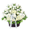 Luminous white mixed flower arrangement in basket. Same Day Toronto Delivery
