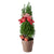 Mini Christmas Tree