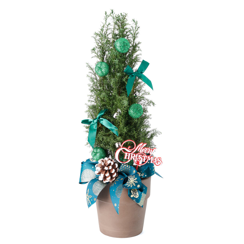 Floral Gift,  christmas,  holiday,  tree,  mini christmas tree,  Set 24023-2021, holiday mini tree delivery, delivery holiday mini tree, christmas mini tree canada, canada mini christmas tree, toronto
