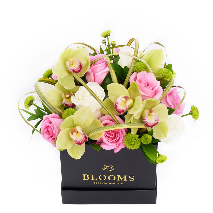 Orchid & Rose Forever Floral Gift - Floral Arrangement Gift - Same Day Toronto Delivery