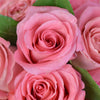 Pink roses in a green hat box floral arrangement. Same Day Toronto Delivery.