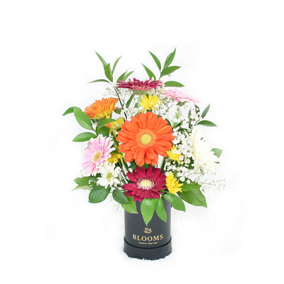 Brightly coloured mixed floral arrangement in a black box. Same Day Toronto Delivery.