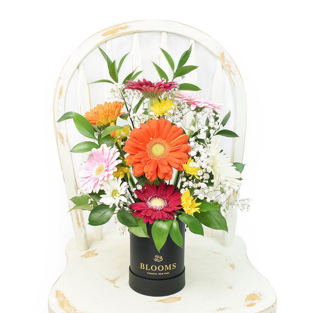 Brightly coloured mixed floral arrangement in a black box. Same Day Toronto Delivery.
