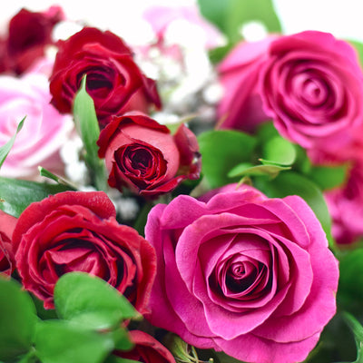 Pink and Red Roses Toronto - Toronto Same Day Flower Delivery - Toronto Flower Gifts