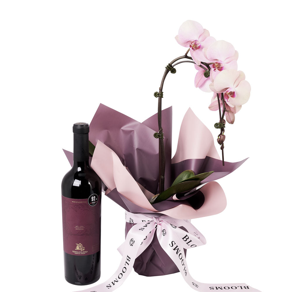 Pure &amp; Simple Flowers &amp; Wine Gift - Orchid plant and Wine Gift Set - Same Day Toronto Delivery