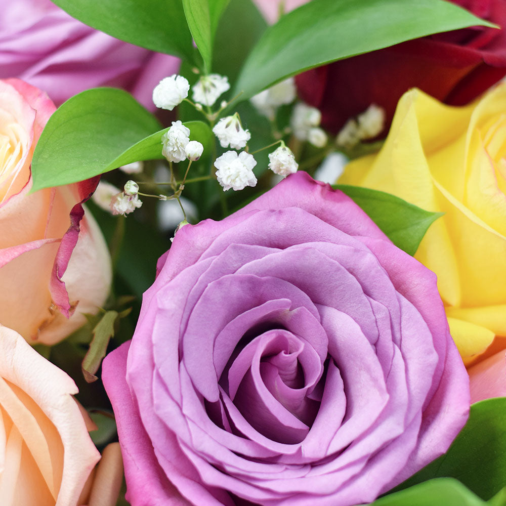 Toronto Same Day Flower Delivery - Toronto Flower Gifts - Rose Box Set