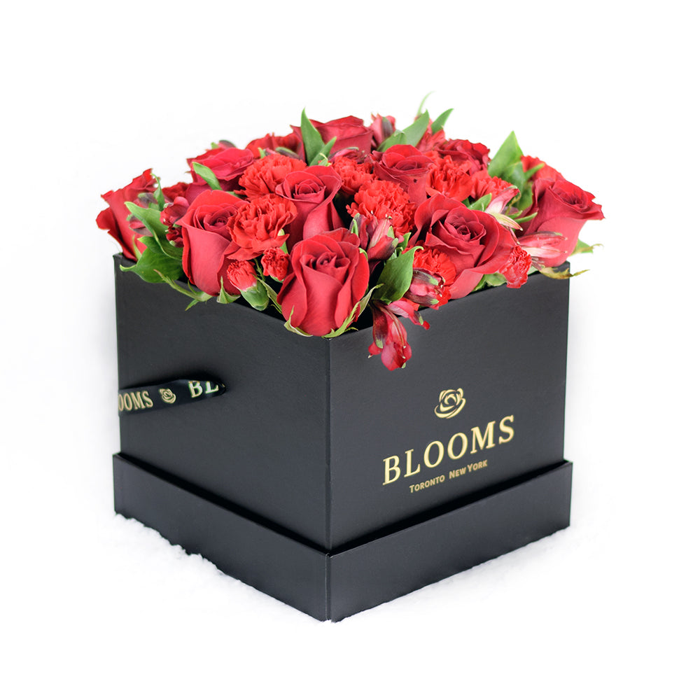 Red Radiance Hat Box - Red Rose Toronto Delivery