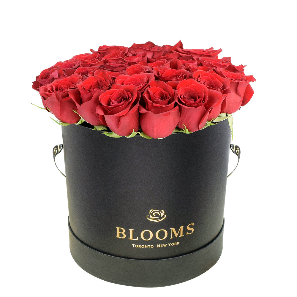 Toronto Same Day Flower Delivery - Toronto Flower Gifts - Rose Box Set