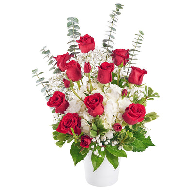 Rose & hydrangea floral arrangement. Same Day Toronto Delivery.