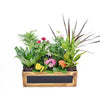 Garden box mixed floral arrangement. Same Day Toronto Delivery