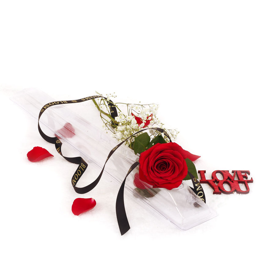 Single rose valentines gift - Same Day Toronto Delivery