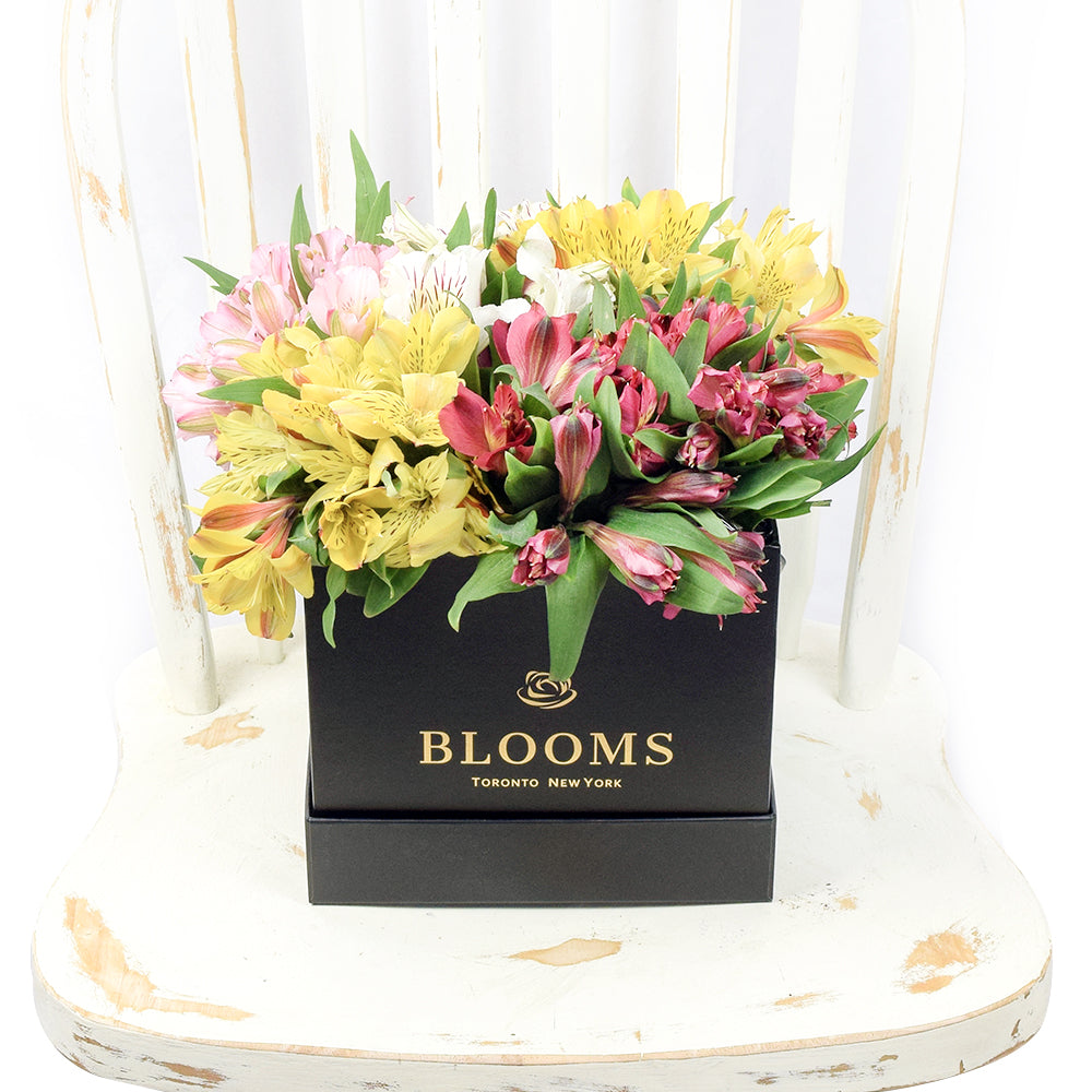 Toronto Same Day Flower Delivery - Toronto Flower Gifts - Lily Bouquet