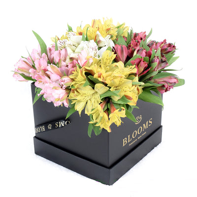 Toronto Same Day Flower Delivery - Toronto Flower Gifts - Lily Bouquet