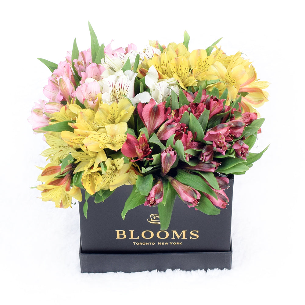 Toronto Same Day Flower Delivery - Toronto Flower Gifts - Lily Bouquet