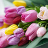 Toronto Same Day Flower Delivery - Toronto Flower Gifts - Pink Tulip Bouquet