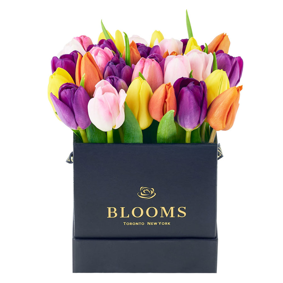 Summer Splash Tulip Arrangement - Floral Gift Box - Same Day Toronto Delivery