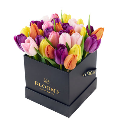 Summer Splash Tulip Arrangement - Floral Gift Box - Same Day Toronto Delivery