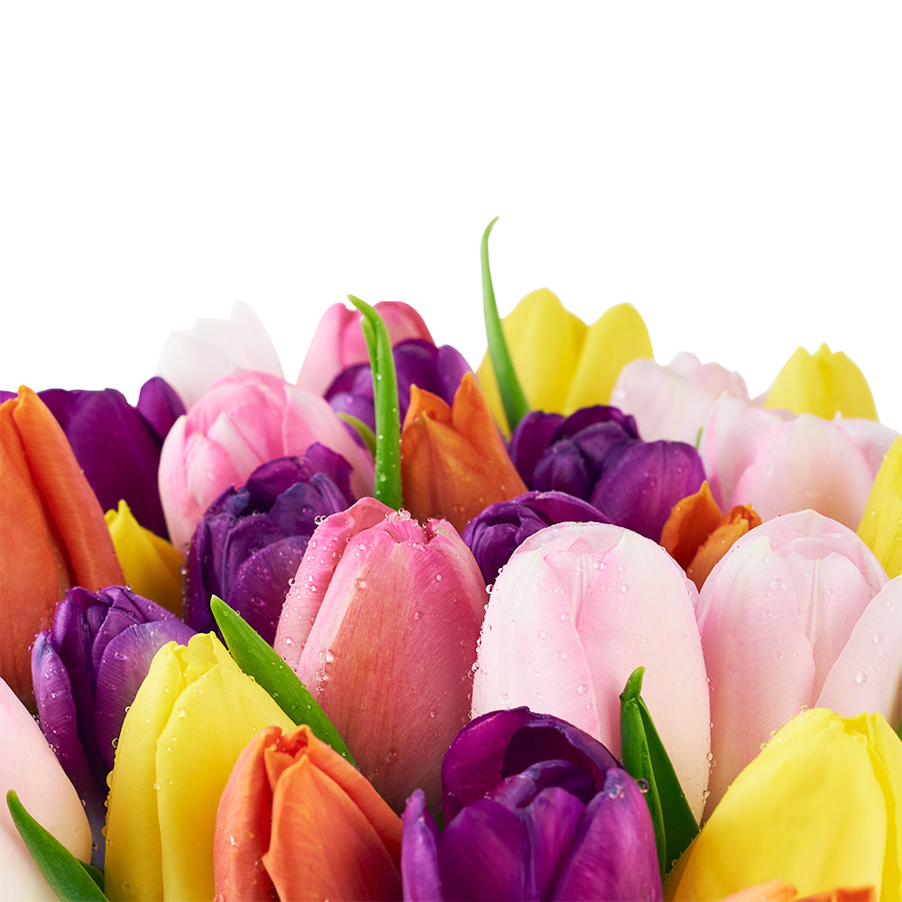 Summer Splash Tulip Arrangement - Floral Gift Box - Same Day Toronto Delivery