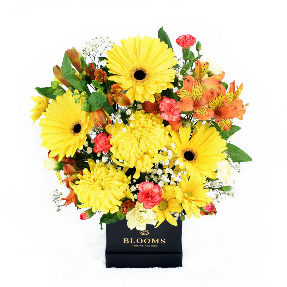 Sunrise mixed floral hat box arrangement. Same Day Toronto Delivery