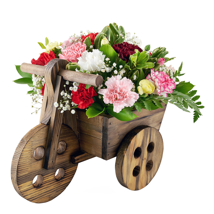 Carnation floral arrangement in a wooden cart planter. Same Day Toronto Delivery.