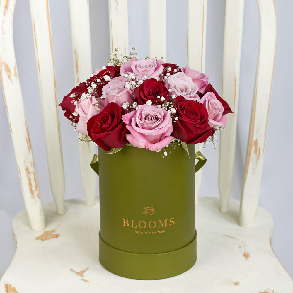 Elegant Rose Duo Arrangment - Mixed Roses - Mother's Day Gift - Same Day Toronto Delivery