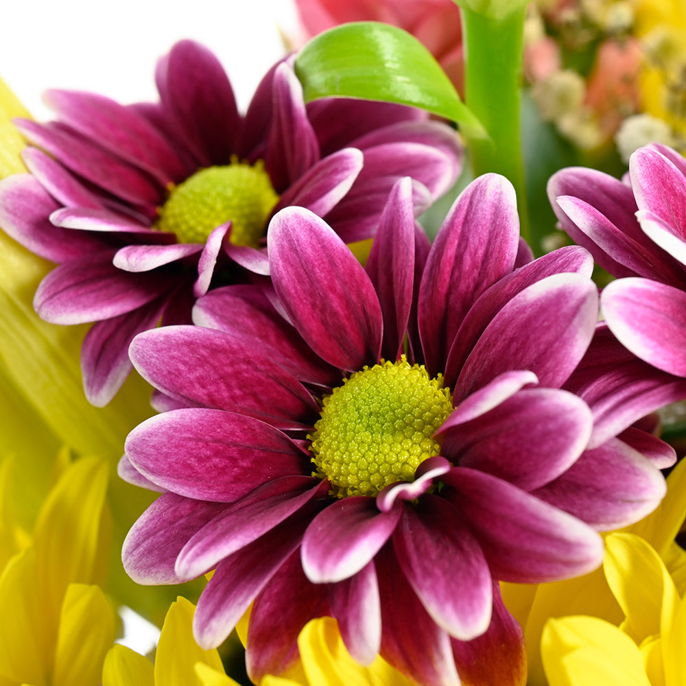 The Best Mother's Day Floral Gift - Wooden Planter Mix Floral Gift Basket - Toronto Delivery