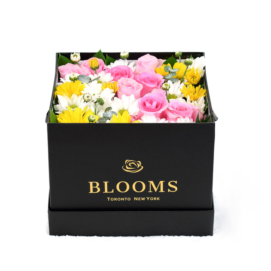 Mixed flower Rose and Daisies box - Same Day Toronto Delivery
