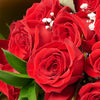 Valentine's Day Dozen Red Roses Bouquet, valentines day gift, valentines day, valentines gift, valentines, rose gift, rose, bouquet gift, bouquet, flower gift, flower