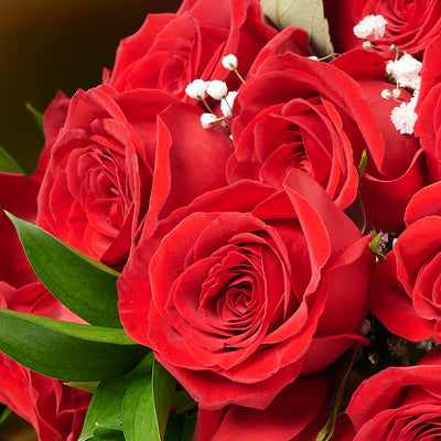 Valentine's Day Dozen Red Roses Bouquet, valentines day gift, valentines day, valentines gift, valentines, rose gift, rose, bouquet gift, bouquet, flower gift, flower