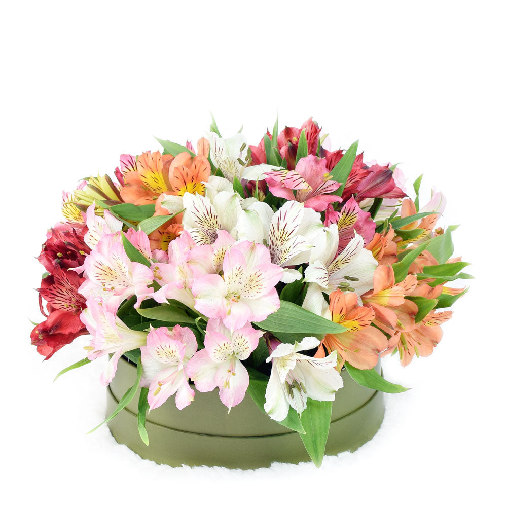 Vibrant Lily Assortment Hat Box