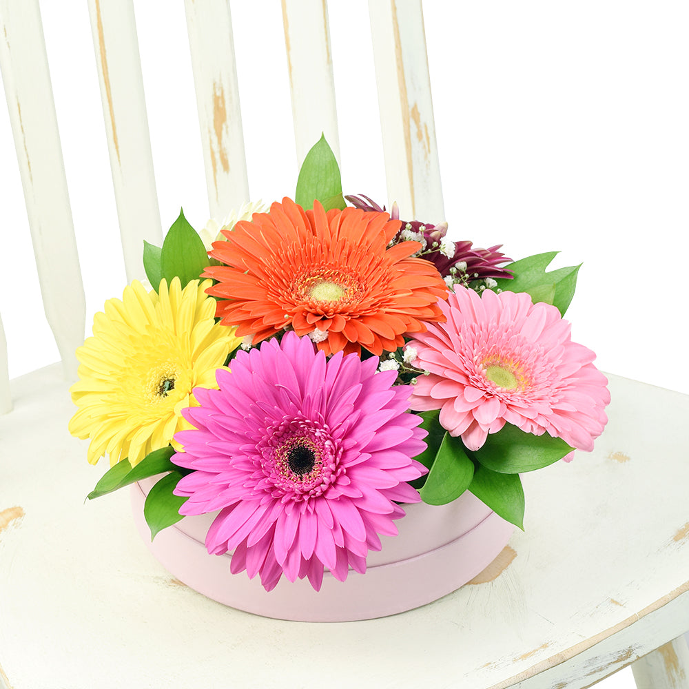 Floral Daisy Hat box arrangement in bright colours. Same Day Toronto Delivery.