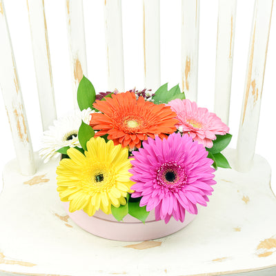 Floral Daisy Hat box arrangement in bright colours. Same Day Toronto Delivery.
