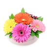 Floral Daisy Hat box arrangement in bright colours. Same Day Toronto Delivery.